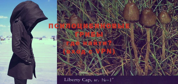 гашик Коряжма